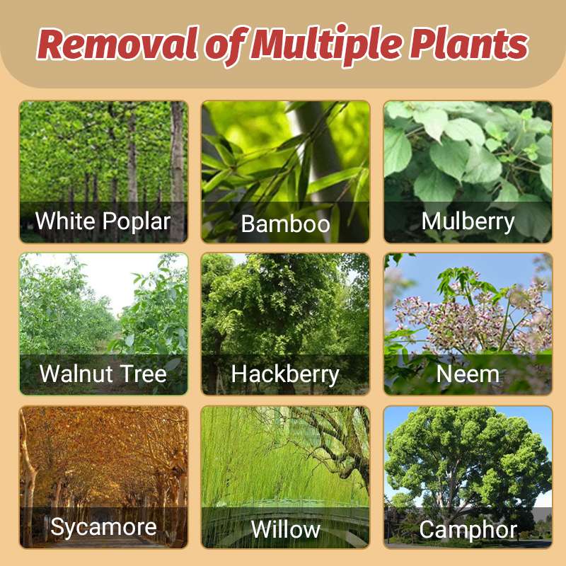 CYCLOSINONE HERBICIDE